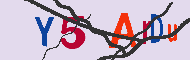 Captcha-koodi