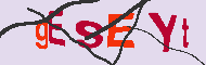 Captcha-koodi